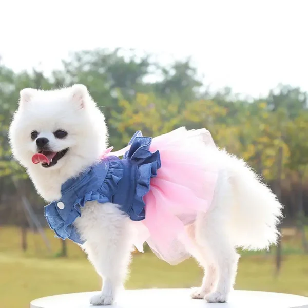 Cozy Pet Dress Cute Dog Skirt 5