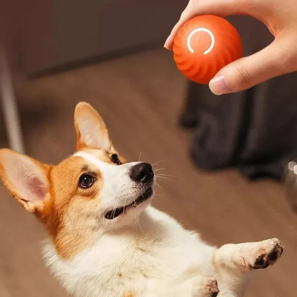 Automatic Moving Bouncing Rolling Ball 5