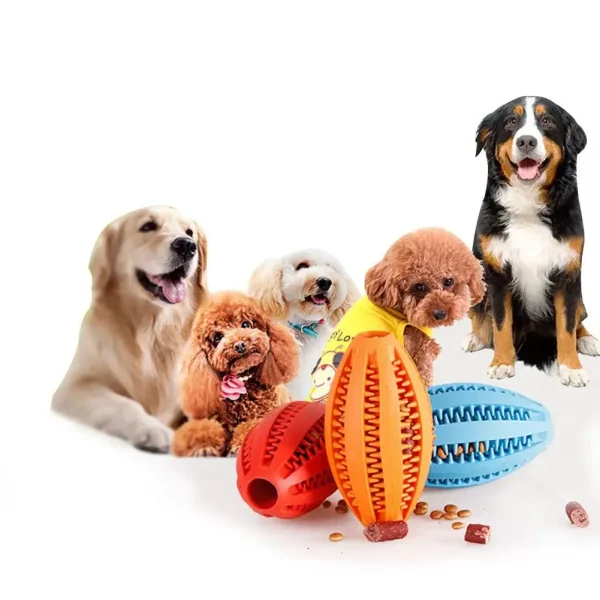 Teeth Cleaning Snack Ball Pet Dog Toy 4