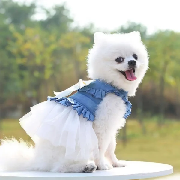 Cozy Pet Dress Cute Dog Skirt 2