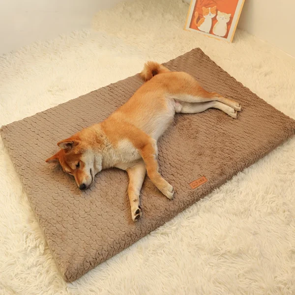 Short Plush Removable Washable Pet Bed 1