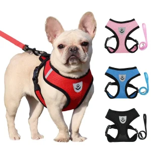 Summer Cat Dog Harness Lead Leash Adjustable 1