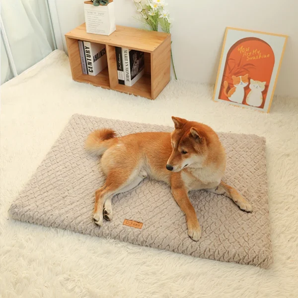 Short Plush Removable Washable Pet Bed 6