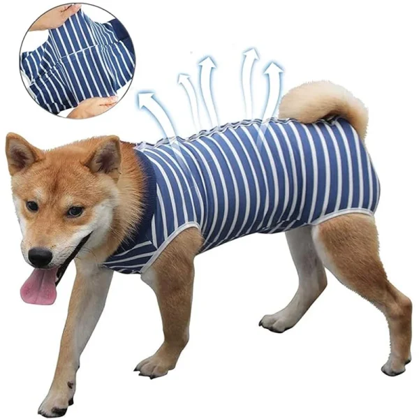 Dog Recovery Suit Abdominal Wound Surgical Clothes 2