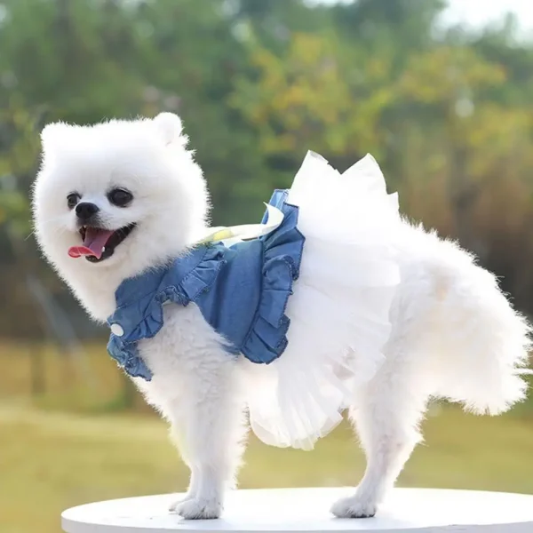 Cozy Pet Dress Cute Dog Skirt 4