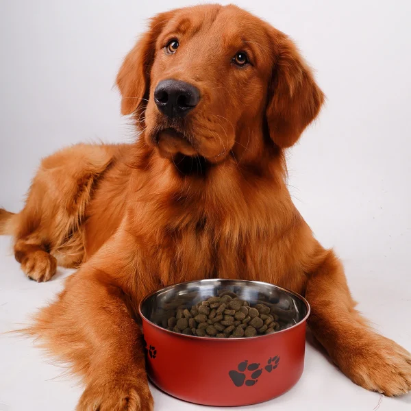 Stainless Steel Dog Bowl 5