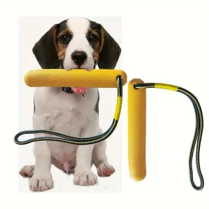 Interactive Dog Ball Picking Toy 1