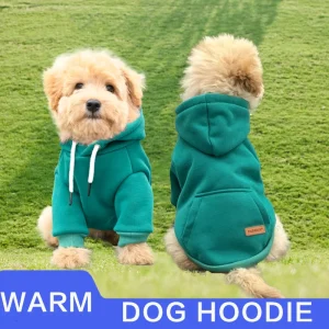 Small And Medium Dog Vest Outdoor Sweatshirt 1