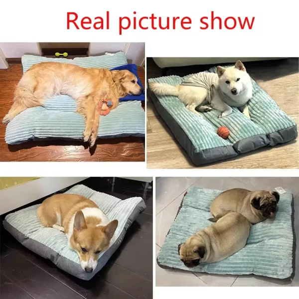 Soft Pet Dog Bed 2