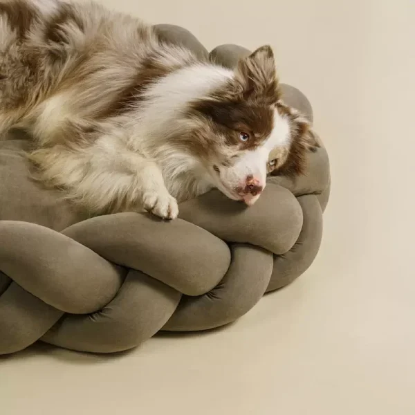 Custom Twist Shape Mat Luxury Dog Bed 4