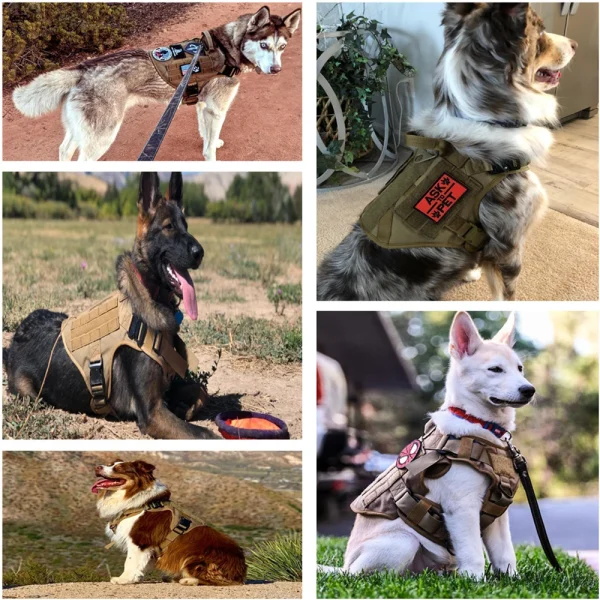 Military Large Dog Harness 5