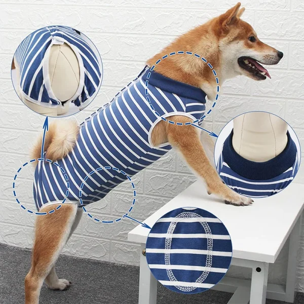 Dog Recovery Suit Abdominal Wound Surgical Clothes 3